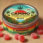 Eart Leaf Camino Watermelon Lemonade cannabis gummies tin with red CBD/THC edibles.