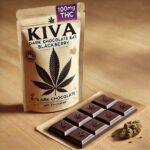 Blackberry Dark Chocolate Bar (H)