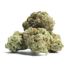 Thin Mint cannabis buds showcasing dense, frosty trichomes and vibrant green hues under natural lighting.